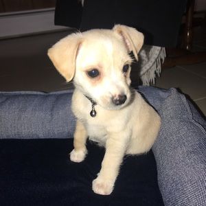 Meet your Posher, Holly